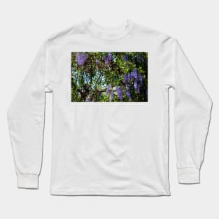 Sunlight On Wisteria Long Sleeve T-Shirt